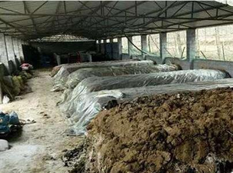 苦瓜葉面肥選擇 苦瓜葉面肥選擇