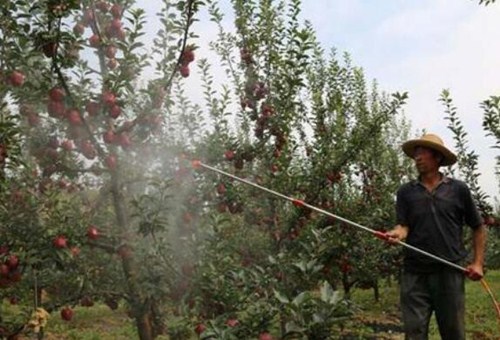 解救肥害葉面肥 解救肥害葉面肥