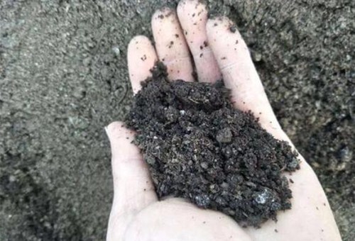 種番茄用底肥 種番茄用底肥