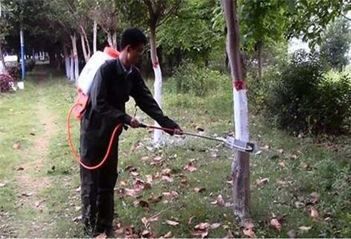 樹木涂抹防凍液 樹木涂抹防凍液