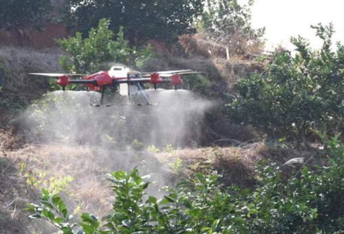 葉面肥噴后遇雨注意 葉面肥噴后遇雨注意