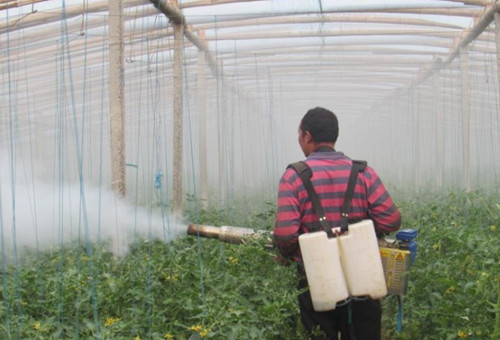 葉面追肥時間 葉面追肥時間