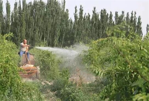 增強抗病力葉面肥 增強抗病力葉面肥