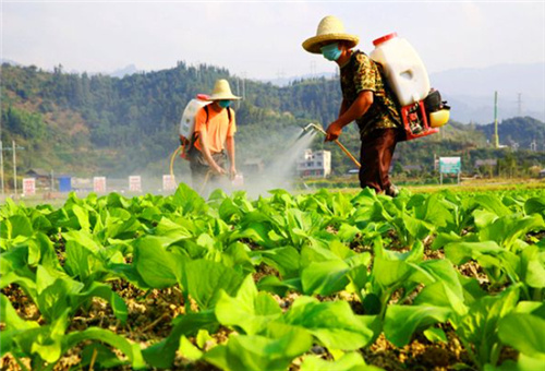 葉面肥對(duì)人體是否有害 葉面肥對(duì)人體是否有害