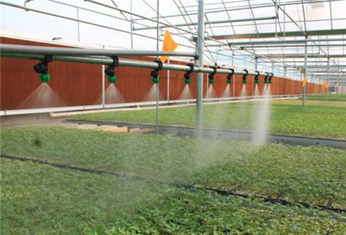 葉面噴施 葉面噴施