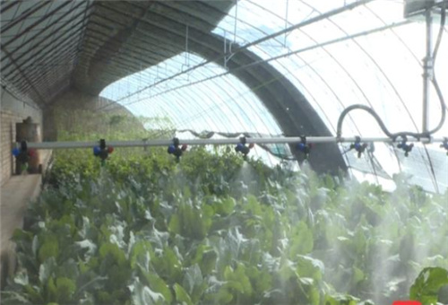 葉面噴施 葉面噴施