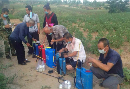 葉面肥使用細(xì)節(jié) 葉面肥使用細(xì)節(jié)