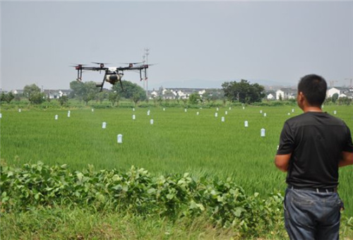 葉面噴施 葉面噴施