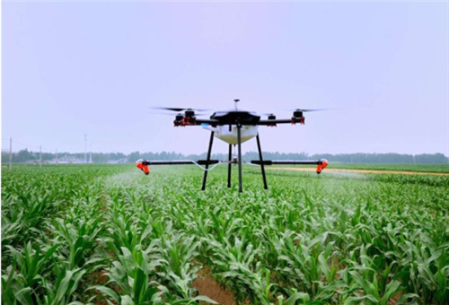 葉面噴施要求 葉面噴施要求