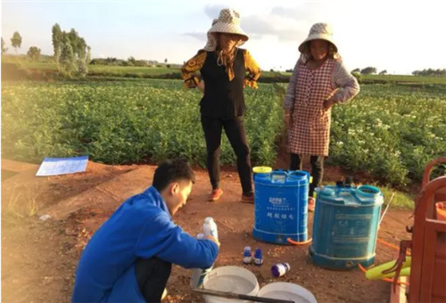 葉面噴施技巧 葉面噴施技巧