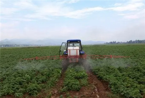 土豆葉面肥選擇 土豆葉面肥選擇