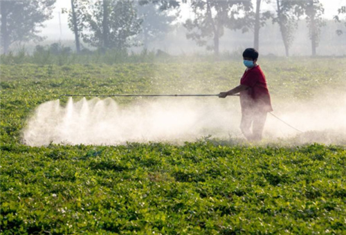 葉面噴施時間 葉面噴施時間
