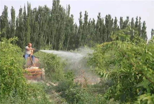 大田打葉面肥合適時機 大田打葉面肥合適時機