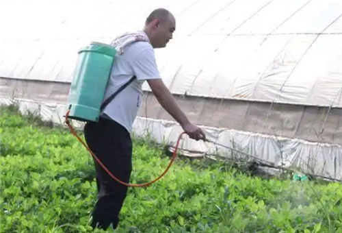 除草藥劑和葉面肥噴施 除草藥劑和葉面肥噴施