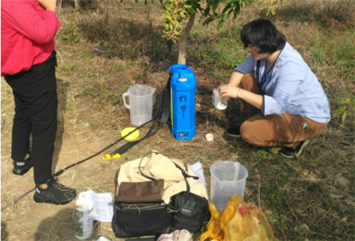 網紅自制葉面肥效果 網紅自制葉面肥效果