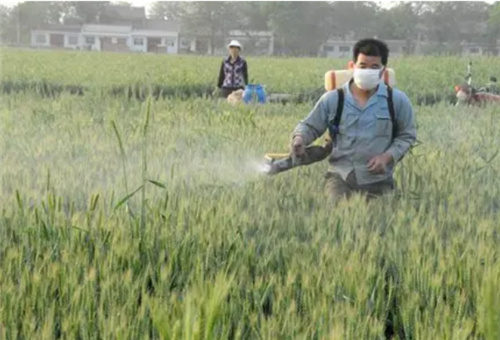 葉面肥添加有機硅好處 葉面肥添加有機硅好處