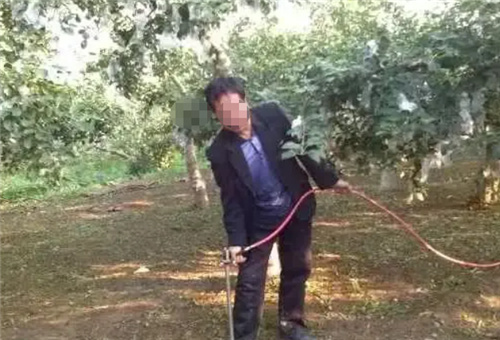 氣溫高追肥要點 氣溫高追肥要點