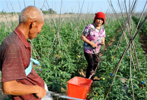 高溫天氣施肥方法 高溫天氣施肥方法
