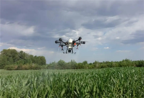 葉面追肥注意 葉面追肥注意