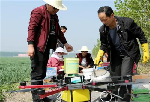 硼鈣葉面肥膨果效果 硼鈣葉面肥膨果效果