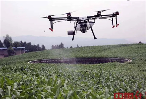 葉面噴施鐵肥效果 葉面噴施鐵肥效果