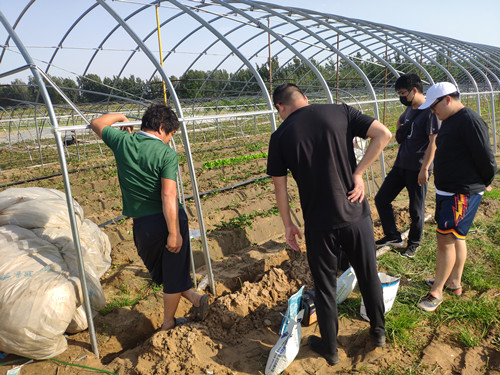 農(nóng)戶了解新肥優(yōu)勢中1 農(nóng)戶了解新肥優(yōu)勢中1