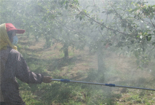 魚蛋白肥對作物好處 魚蛋白肥對作物好處