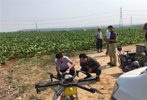 噴施葉面肥 噴施葉面肥