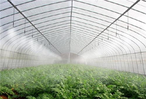 糖醇錳用途 糖醇錳用途