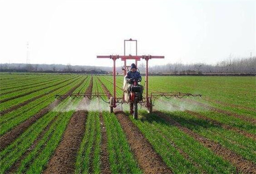 葉面肥噴施技巧 葉面肥噴施技巧